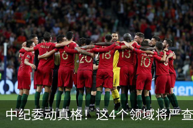中纪委动真格！这4个领域将严查，4种行为将被严肃问责！