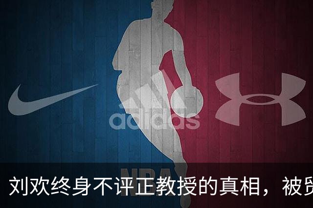 刘欢终身不评正教授的真相，被贸大前校长道破，打脸当下功利世俗