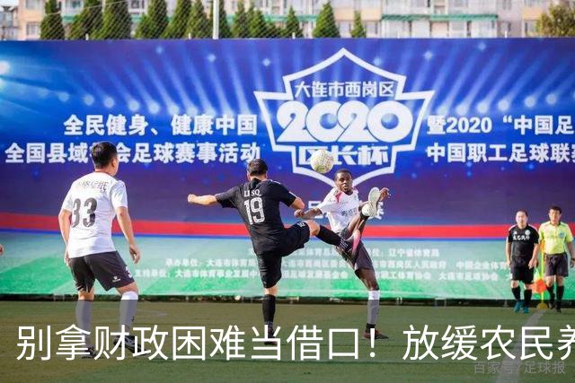 别拿财政困难当借口！放缓农民养老金提升，真的站不住脚吗？