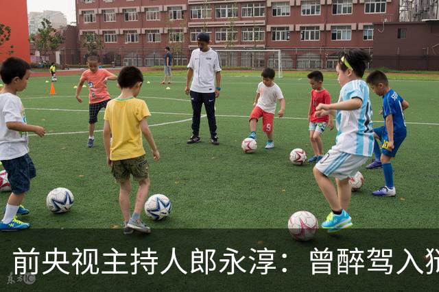 前央视主持人郎永淳：曾醉驾入狱，刑满释放，如今儿子成'心病'