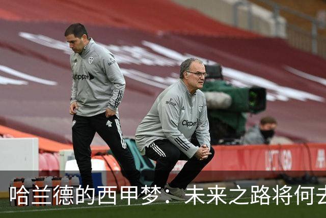 哈兰德的西甲梦：未来之路将何去何从？
