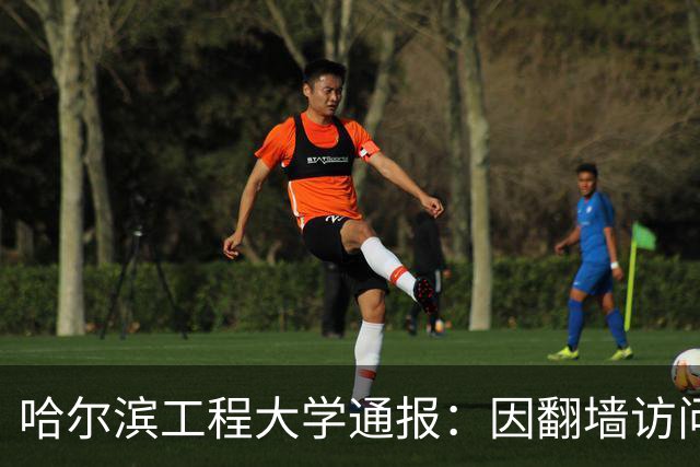 哈尔滨工程大学通报：因翻墙访问境外网络，对20名学生进行警告处分