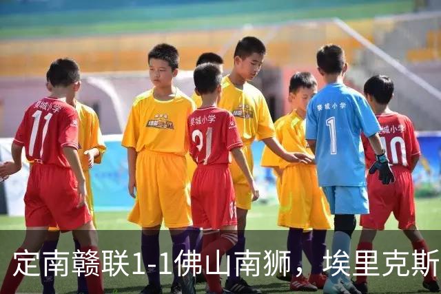 定南赣联1-1佛山南狮，埃里克斯点射，德莱蒂奇头球建功