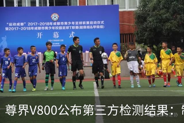 尊界V800公布第三方检测结果：制动踏板未出现损坏