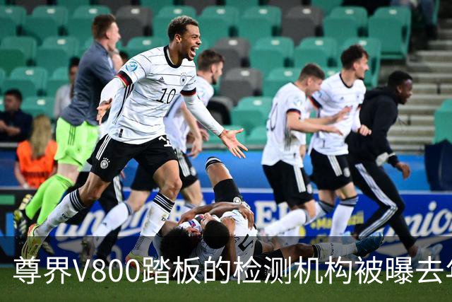 尊界V800踏板的检测机构被曝去年曾涉理想卡车碰撞试验，尊界客服未透露检测机构名称