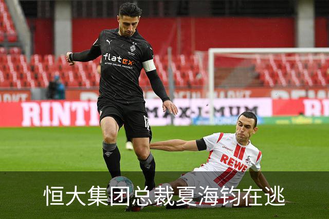 恒大集团总裁夏海钧在逃