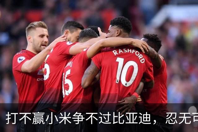 打不赢小米争不过比亚迪，忍无可忍的赛力斯，甩开华为自己干？