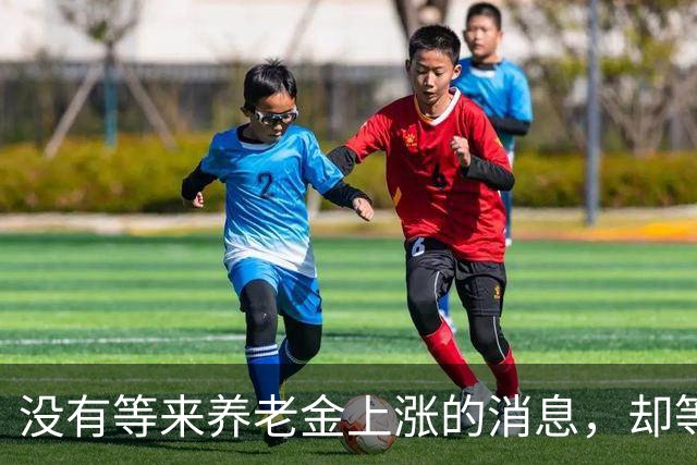没有等来养老金上涨的消息，却等来了惊喜