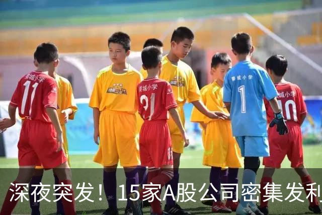 深夜突发！15家A股公司密集发利好，最高砸66亿，核心赛道要起飞