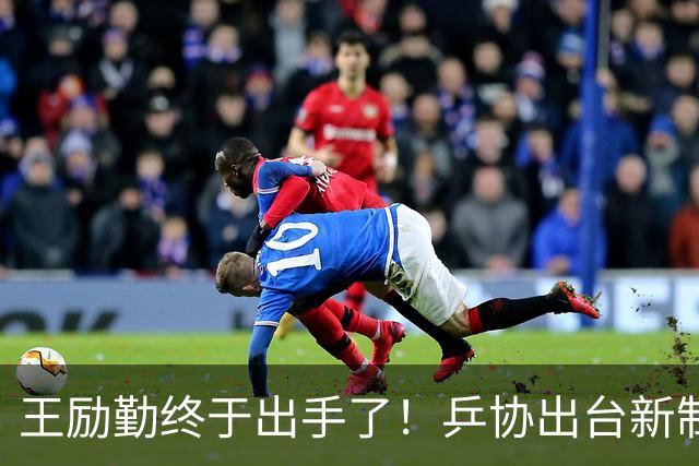 王励勤终于出手了！乒协出台新制度，国乒饭圈乱象该消停了