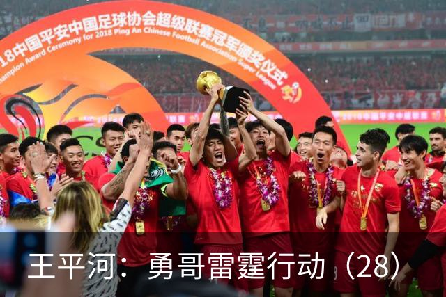 王平河：勇哥雷霆行动（2/8）