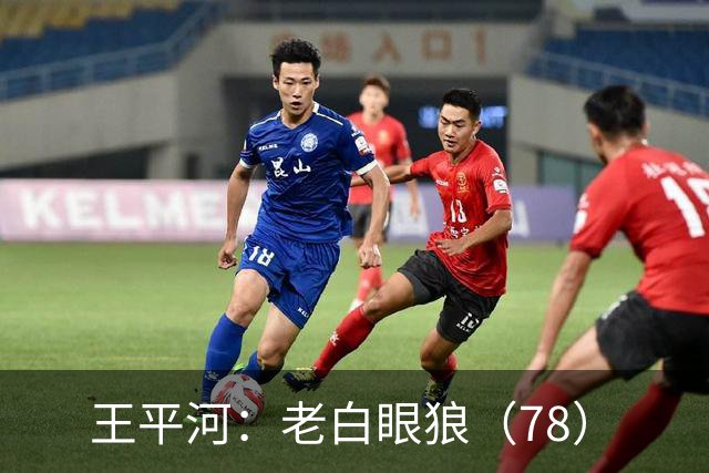 王平河：老白眼狼（7/8）