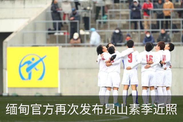 缅甸官方再次发布昂山素季近照