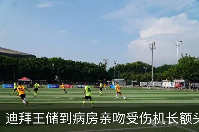迪拜王储到病房亲吻受伤机长额头：他重伤后爬去开门，救下一飞机人