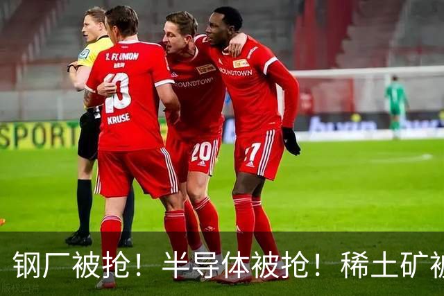 钢厂被抢！半导体被抢！稀土矿被抢！东郭先生的课，中国不想再上