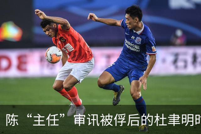 陈“主任”审讯被俘后的杜聿明时，被杜聿明反问：你是陈毅将军？