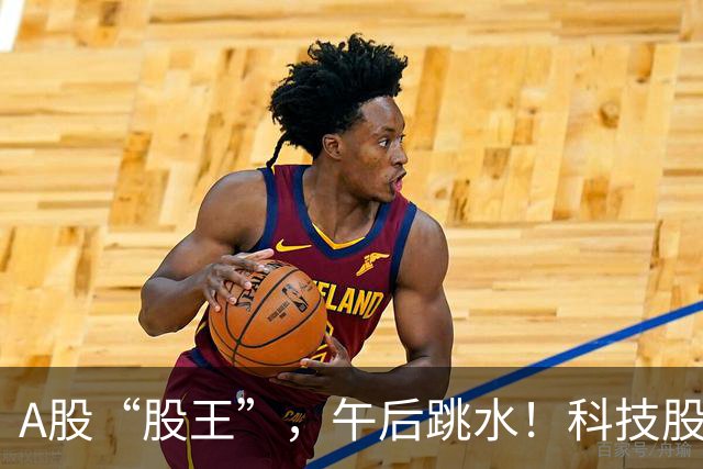 A股“股王”，午后跳水！科技股，跌幅靠前